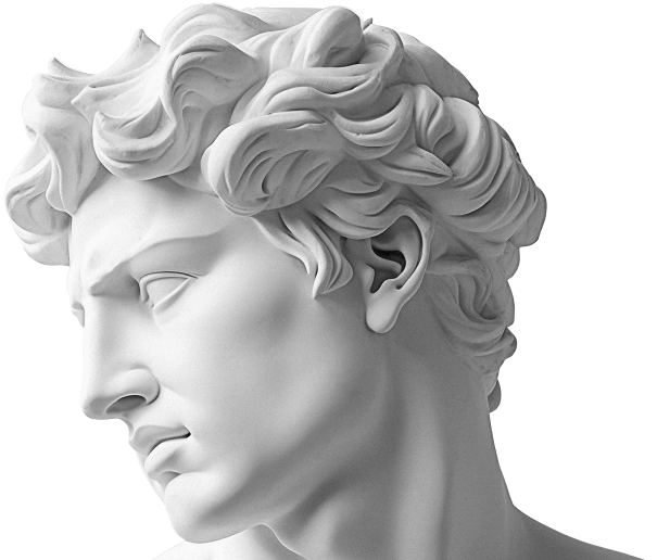 david